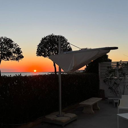 托雷苏达Sunset Bay住宿加早餐旅馆 外观 照片