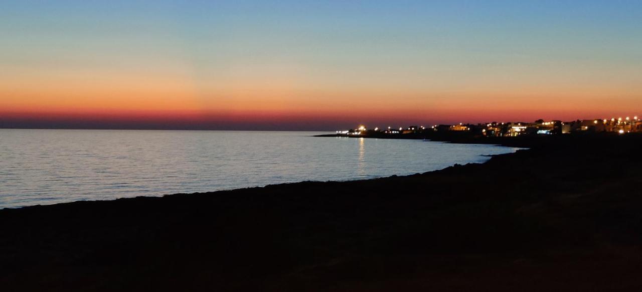 托雷苏达Sunset Bay住宿加早餐旅馆 外观 照片