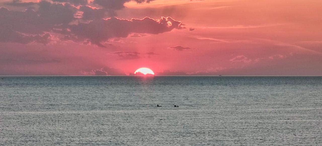 托雷苏达Sunset Bay住宿加早餐旅馆 外观 照片